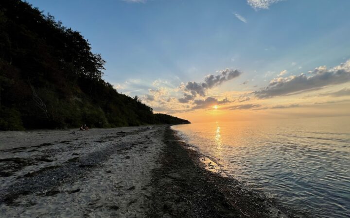 Strandgrillen