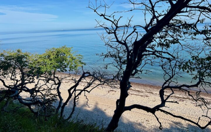 Strand_Diedrichshagen