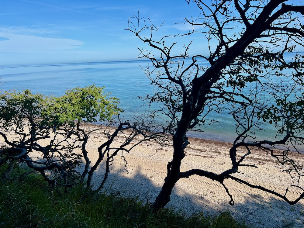 Strand_Diedrichshagen